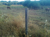 02. Vallado ganadero